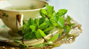 peppermint, fever from and herbalists perspective