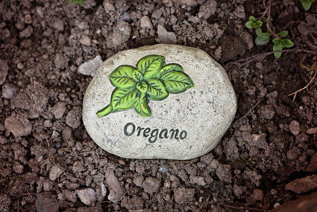 herbal interlude with oregano