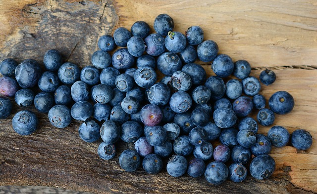 blueberries for traumatic brain injuries